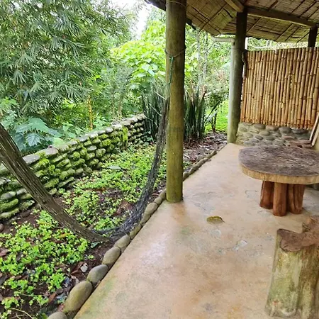 Lodge France Amazonia Puerto Misahuallí Exterior foto