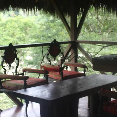 Lodge France Amazonia Puerto Misahuallí Exterior foto