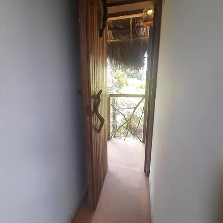 Lodge France Amazonia Puerto Misahuallí Exterior foto