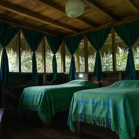 Lodge France Amazonia Puerto Misahuallí Exterior foto