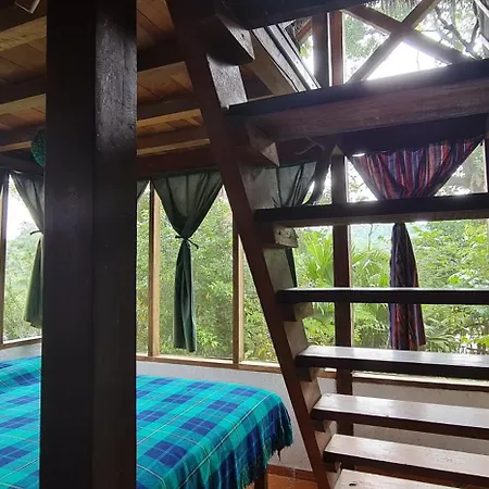 Lodge France Amazonia Puerto Misahuallí Exterior foto