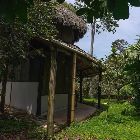 Lodge France Amazonia Puerto Misahuallí Exterior foto
