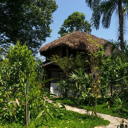 Lodge France Amazonia Puerto Misahuallí Exterior foto