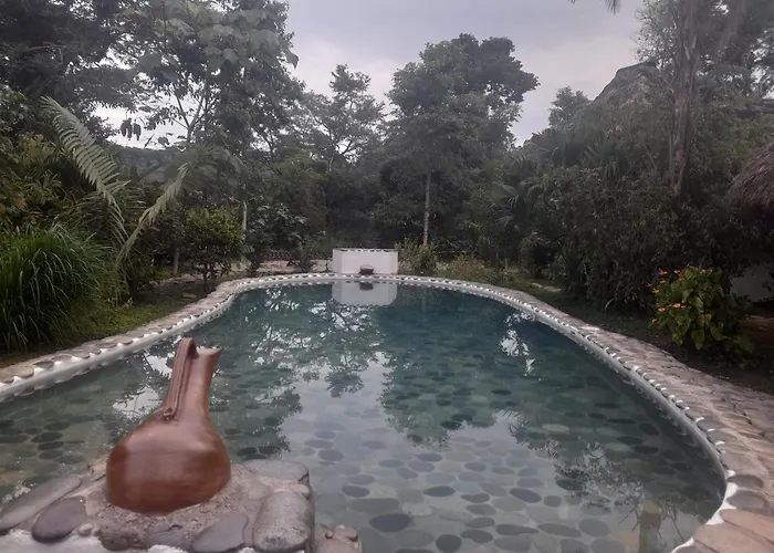 Lodge France Amazonia