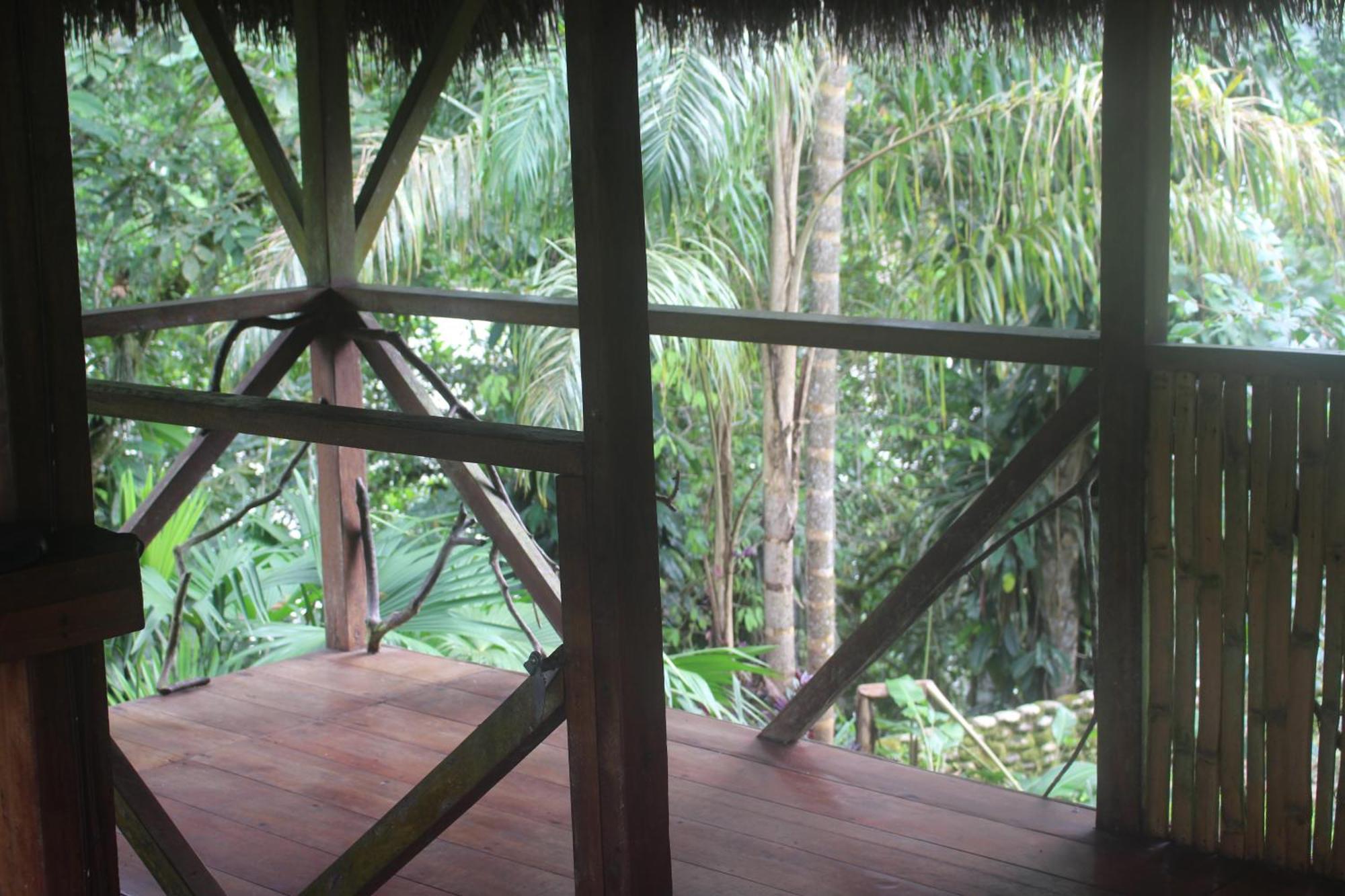 France Amazonia Lodge *