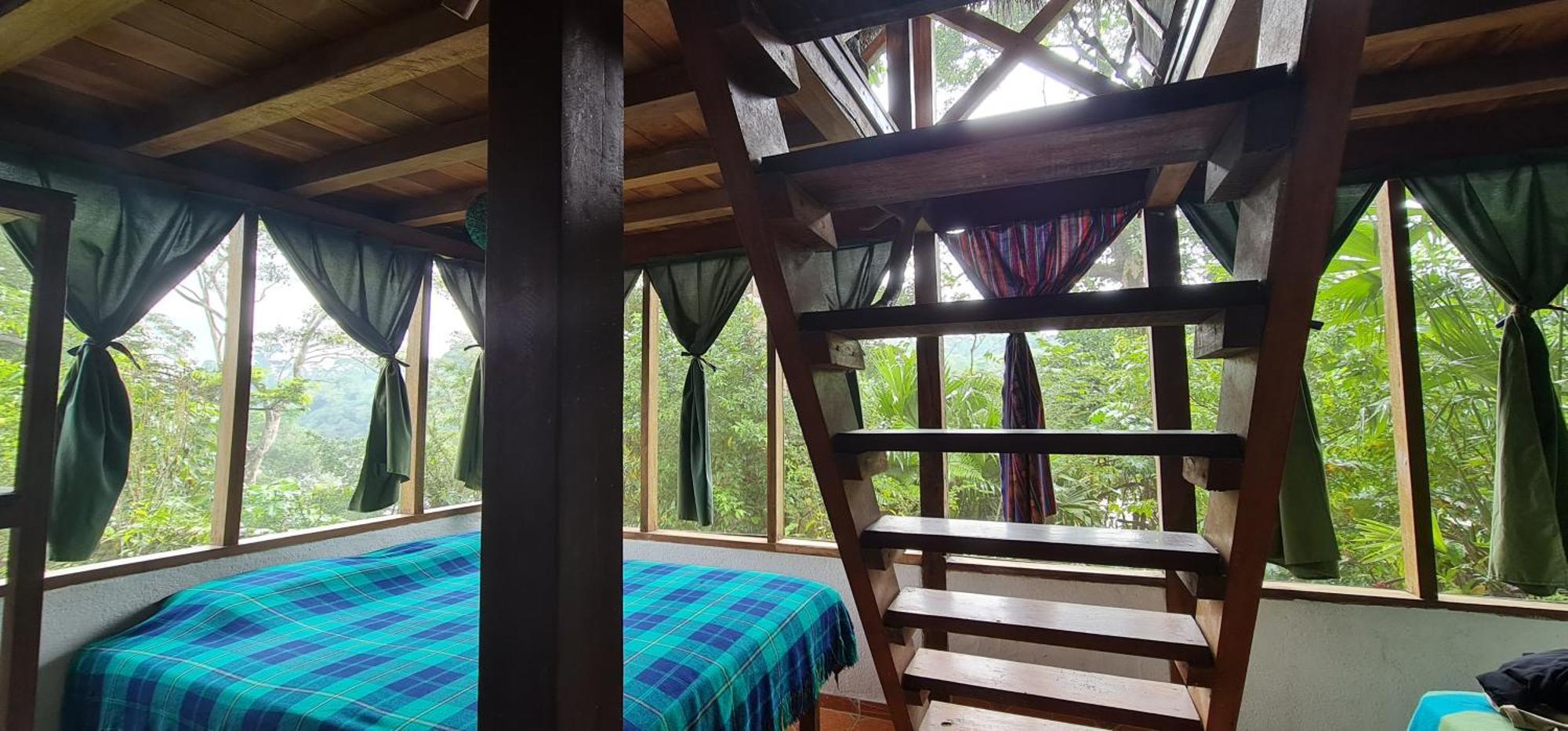Lodge France Amazonia