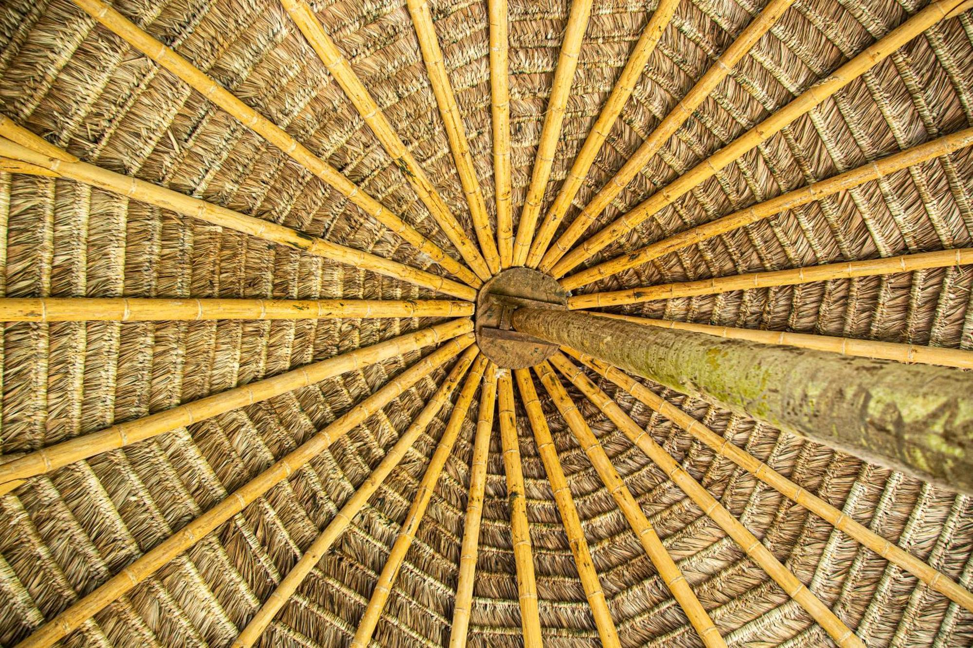 France Amazonia Lodge *