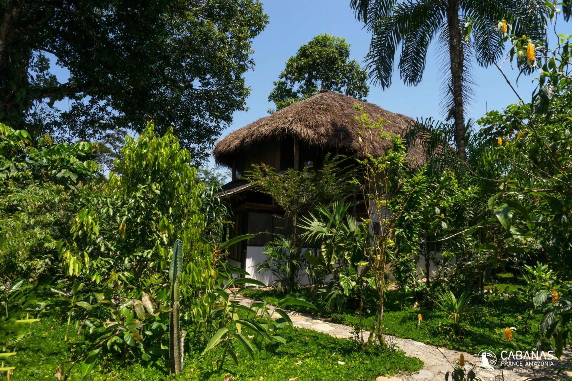 France Amazonia *